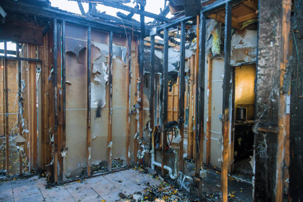 Professional Fire Damage Removal technician working in Fort Meade, MD
